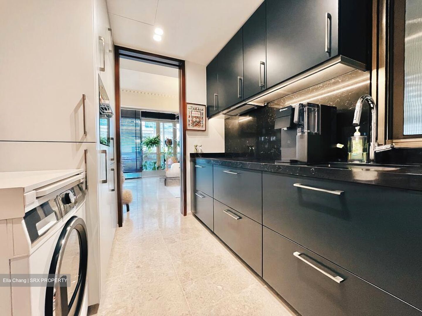 Draycott Park (D10), Condominium #472189101